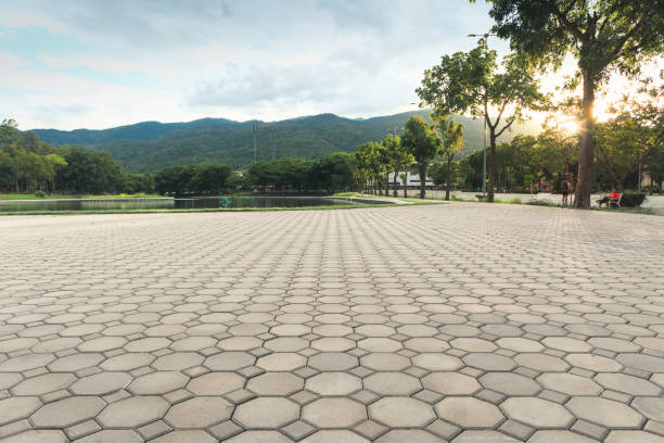 Best Local Driveway Pavers  in Sunrise, FL